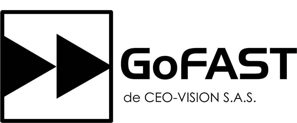 CEO-Vision SAS